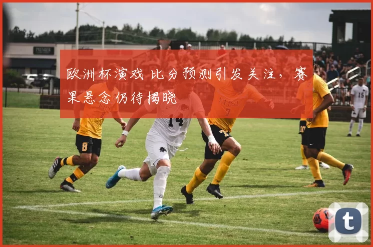 欧洲杯演戏 比分预测引发关注,赛果悬念仍待揭晓