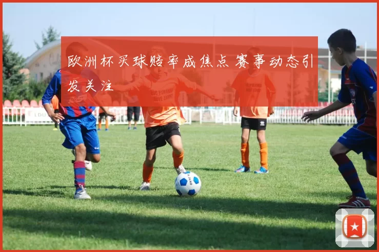欧洲杯买球赔率成焦点 赛事动态引发关注