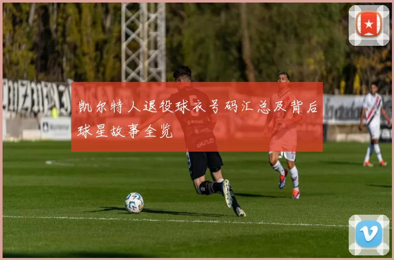 凯尔特人退役球衣号码汇总及背后球星故事全览
