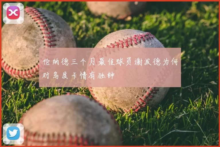 伦纳德三个月最佳球员谢泼德为何对乌度卡情有独钟