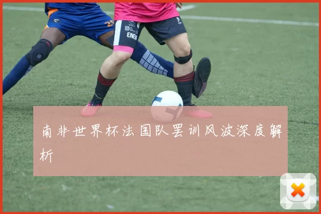 南非世界杯法国队罢训风波深度解析