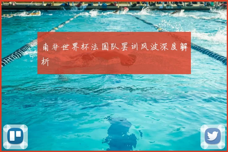 南非世界杯法国队罢训风波深度解析