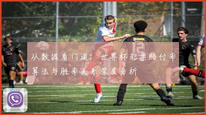 从数据看门道：世界杯彩票赔付率算法与胜率关系深度分析