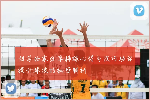 刘芳独家分享排球心得与技巧助你提升球技的秘密解析