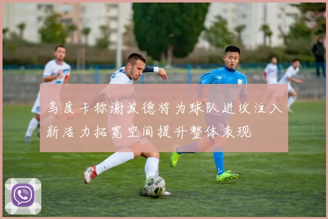 乌度卡称谢泼德将为球队进攻注入新活力拓宽空间提升整体表现