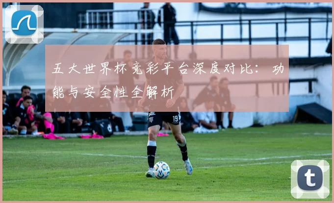 五大世界杯竞彩平台深度对比：功能与安全性全解析