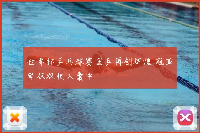 世界杯乒乓球赛国乒再创辉煌 冠亚军双双收入囊中