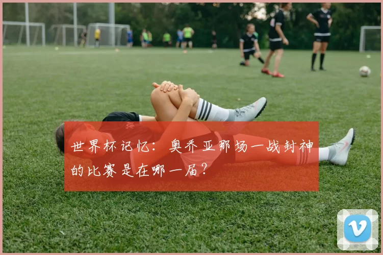 世界杯记忆：奥乔亚那场一战封神的比赛是在哪一届？
