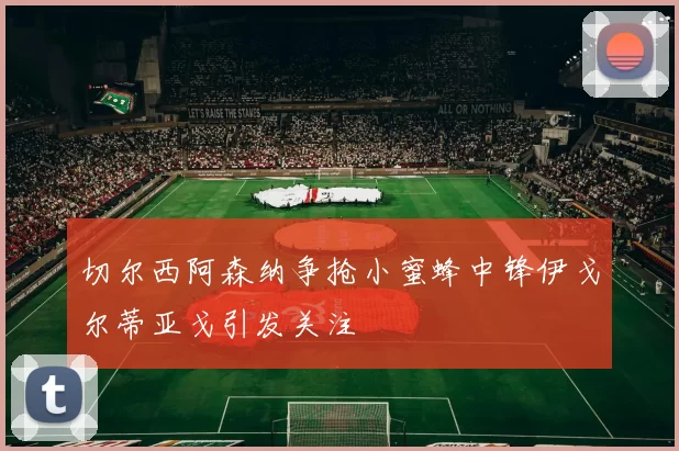 切尔西阿森纳争抢小蜜蜂中锋伊戈尔蒂亚戈引发关注